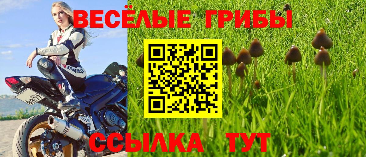 Галлюциногенные грибы Magic Shrooms Тавда